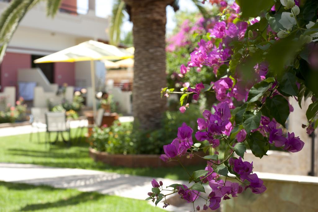 Nikolas Suites Kato Daratso Luaran gambar